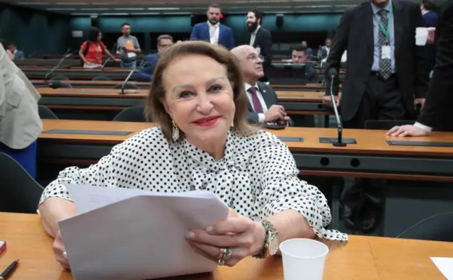 1774360803 485 Comissao da Mulher teve presidentas com ideologias diversas