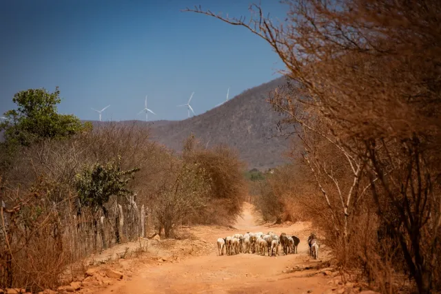 1776949878 362 a fortuna do senhor dos ventos vem do semiarido
