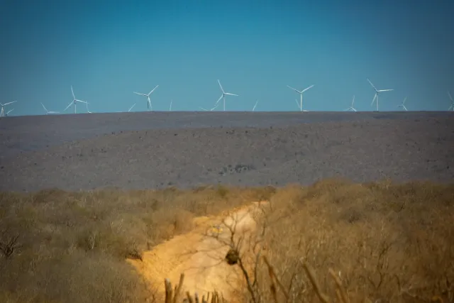 1776949878 97 a fortuna do senhor dos ventos vem do semiarido