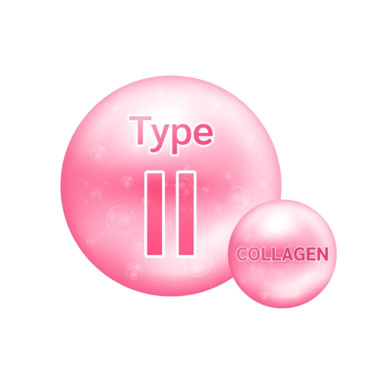 colageno tipo 2
