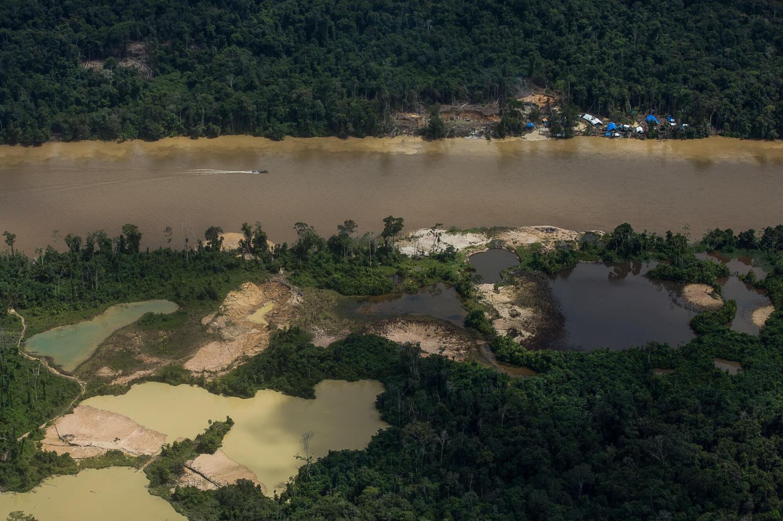 Grande área de garimpo com dezenas de barracões na região do rio Uraricoera na Terra Indígena Yanomami