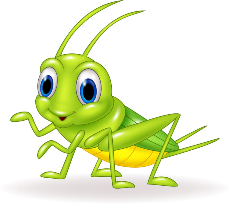 Qual o Significado de Grilo Verde em Casa?