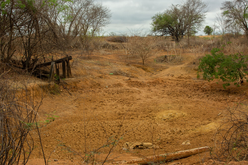 ‘Facil e ‘legal desmatamento no Cerrado bate recorde e avanca