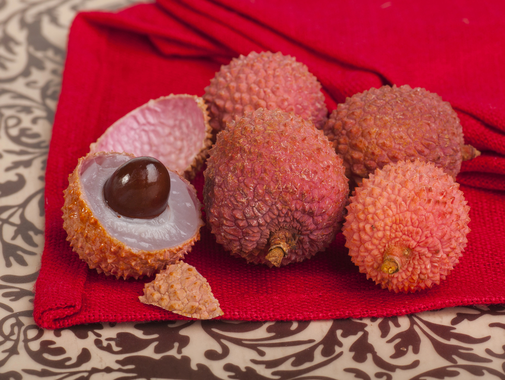 planta Lichia – Litchi chinensis Lichia – Litchi chinensis
