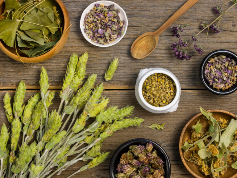 plantas medicinais para emagrecer plantas medicinais para emagrecer