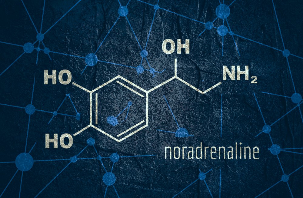 Noradrenalina Noradrenalina