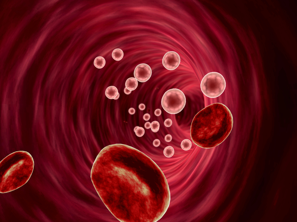 leucocitos no sangue leucocitos no sangue