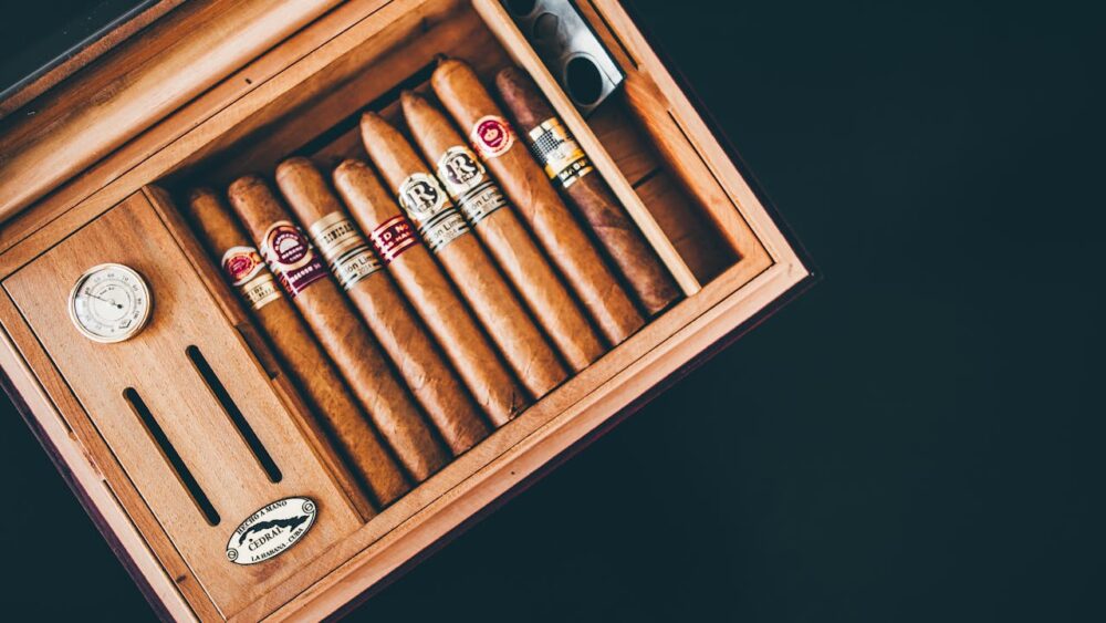 Charutos para iniciantes Charutos para iniciantes